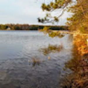 Meet your Posher, Jeanne